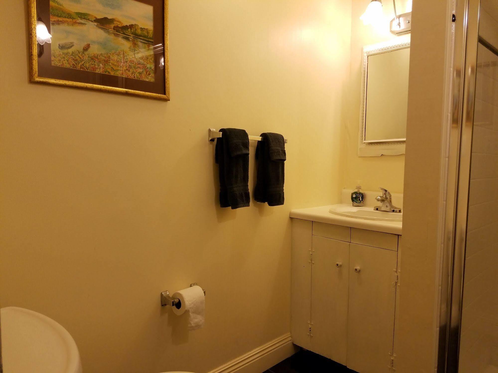 Lion'S Inn Bed And Breakfast ニューオーリンズ エクステリア 写真